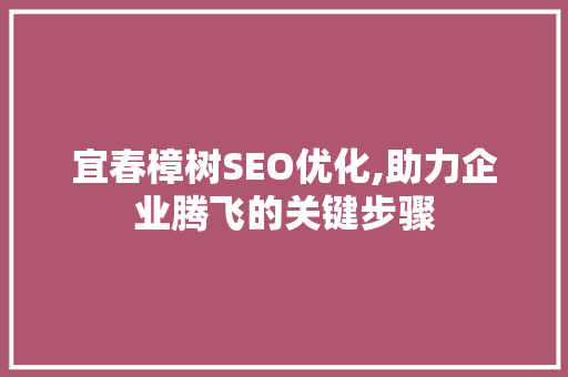 宜春樟树SEO优化,助力企业腾飞的关键步骤