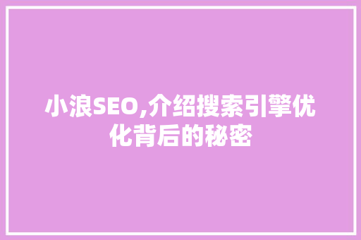 小浪SEO,介绍搜索引擎优化背后的秘密