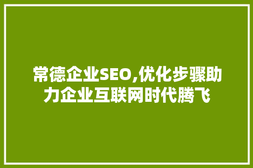 常德企业SEO,优化步骤助力企业互联网时代腾飞