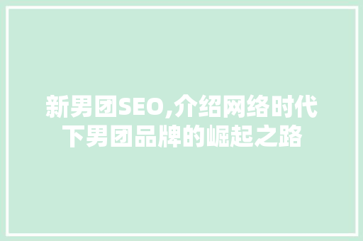 新男团SEO,介绍网络时代下男团品牌的崛起之路