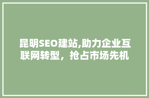 昆明SEO建站,助力企业互联网转型，抢占市场先机