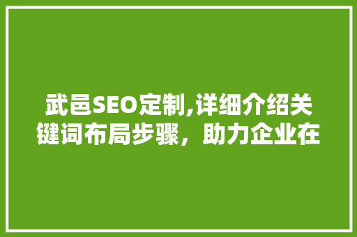 武邑SEO定制,详细介绍关键词布局步骤，助力企业在线营销