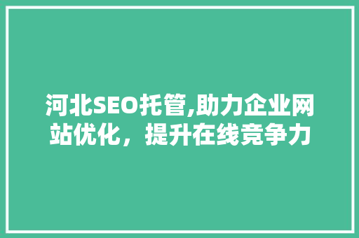 河北SEO托管,助力企业网站优化，提升在线竞争力