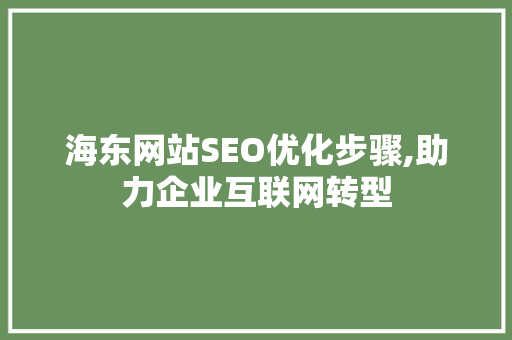 海东网站SEO优化步骤,助力企业互联网转型