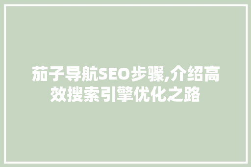 茄子导航SEO步骤,介绍高效搜索引擎优化之路