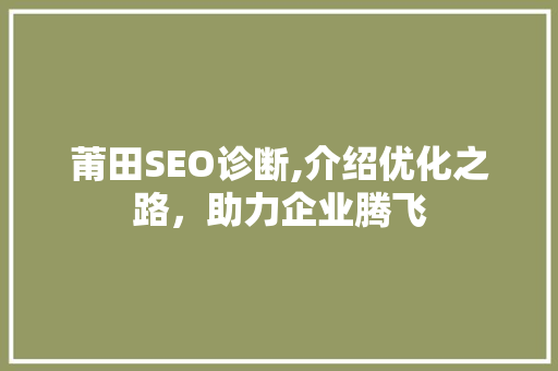 莆田SEO诊断,介绍优化之路，助力企业腾飞