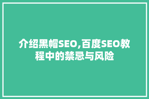介绍黑帽SEO,百度SEO教程中的禁忌与风险