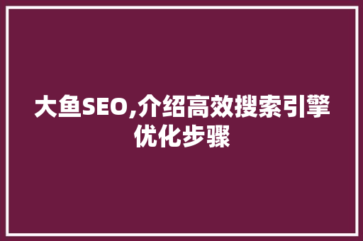 大鱼SEO,介绍高效搜索引擎优化步骤  第1张