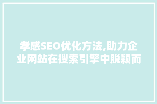 孝感SEO优化方法,助力企业网站在搜索引擎中脱颖而出