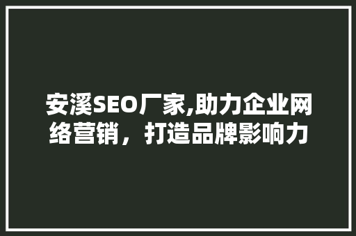 安溪SEO厂家,助力企业网络营销，打造品牌影响力