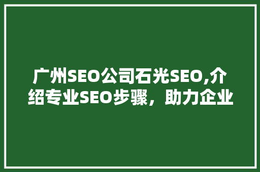 广州SEO公司石光SEO,介绍专业SEO步骤，助力企业互联网营销新篇章