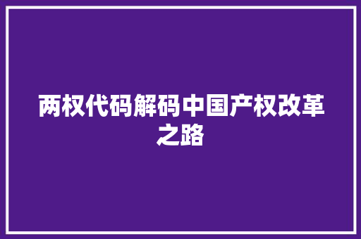 两权代码解码中国产权改革之路