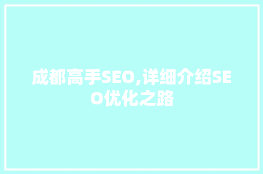 成都高手SEO,详细介绍SEO优化之路