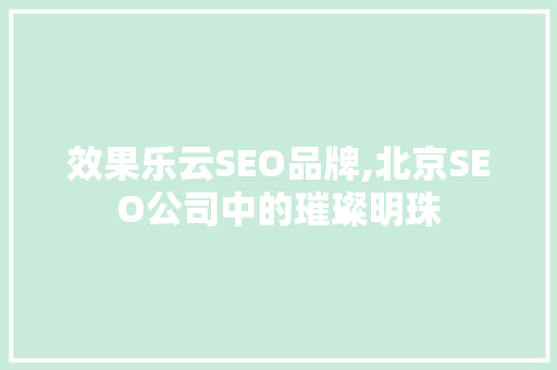 效果乐云SEO品牌,北京SEO公司中的璀璨明珠