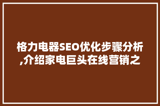 格力电器SEO优化步骤分析,介绍家电巨头在线营销之路
