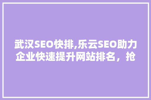 武汉SEO快排,乐云SEO助力企业快速提升网站排名，抢占市场份额