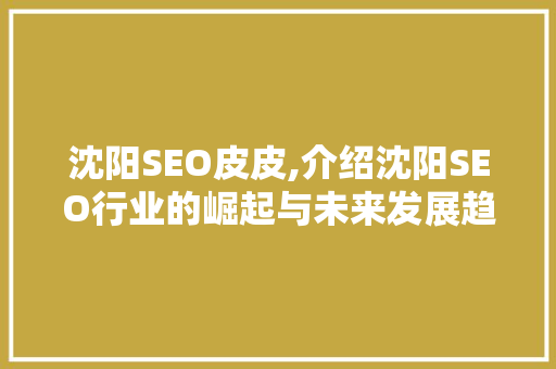 沈阳SEO皮皮,介绍沈阳SEO行业的崛起与未来发展趋势