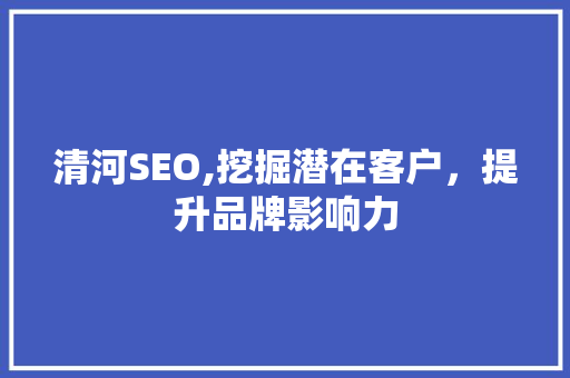 清河SEO,挖掘潜在客户，提升品牌影响力