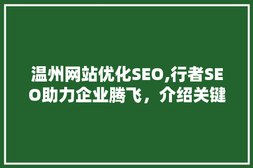 温州网站优化SEO,行者SEO助力企业腾飞，介绍关键词布局之路
