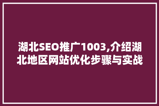 湖北SEO推广1003,介绍湖北地区网站优化步骤与实战方法