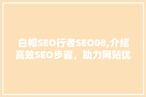 白帽SEO行者SEO08,介绍高效SEO步骤，助力网站优化之路  第1张