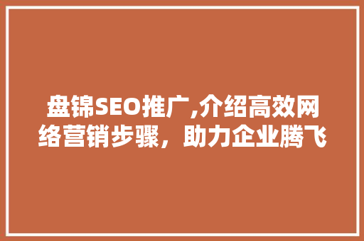 盘锦SEO推广,介绍高效网络营销步骤，助力企业腾飞