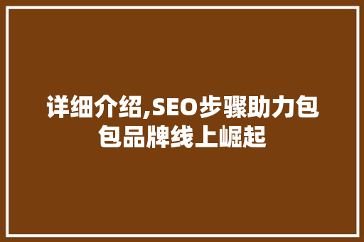 详细介绍,SEO步骤助力包包品牌线上崛起  第1张
