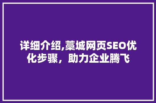 详细介绍,藁城网页SEO优化步骤，助力企业腾飞