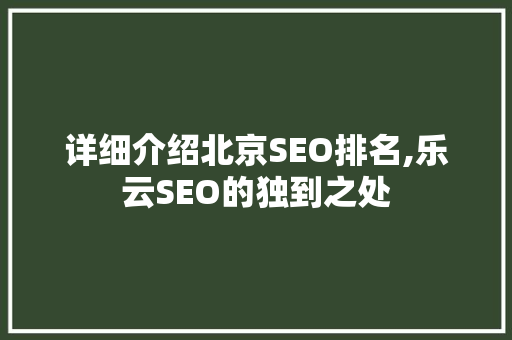 详细介绍北京SEO排名,乐云SEO的独到之处