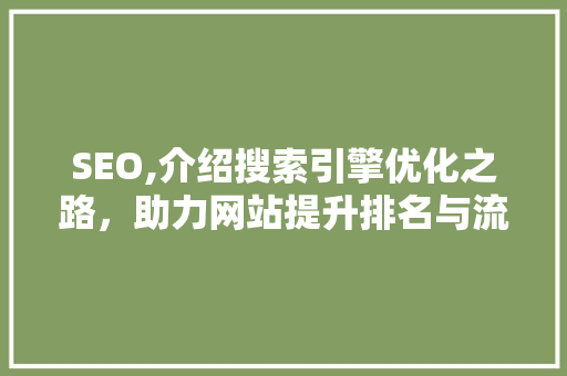 SEO,介绍搜索引擎优化之路，助力网站提升排名与流量