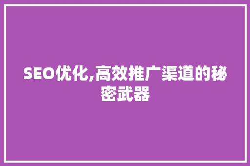 SEO优化,高效推广渠道的秘密武器
