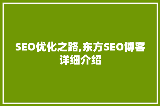 SEO优化之路,东方SEO博客详细介绍