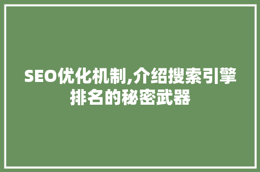 SEO优化机制,介绍搜索引擎排名的秘密武器