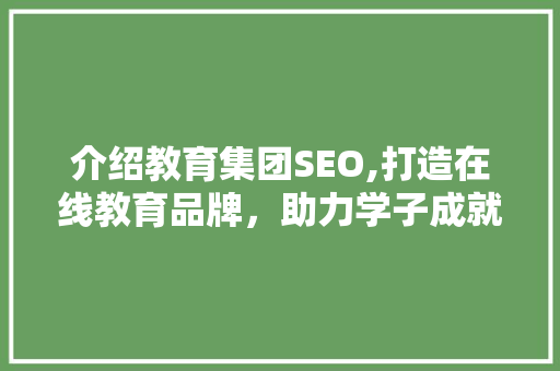 介绍教育集团SEO,打造在线教育品牌，助力学子成就未来