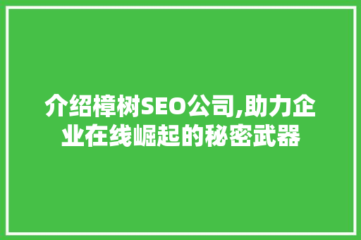 介绍樟树SEO公司,助力企业在线崛起的秘密武器