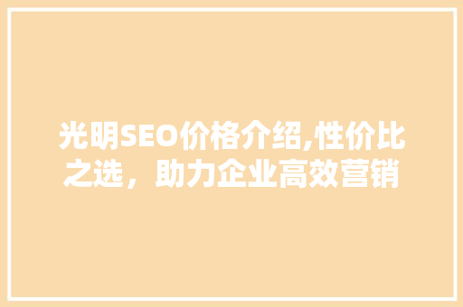 光明SEO价格介绍,性价比之选，助力企业高效营销