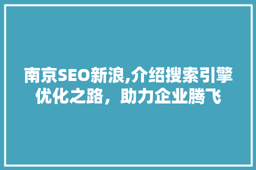 南京SEO新浪,介绍搜索引擎优化之路，助力企业腾飞
