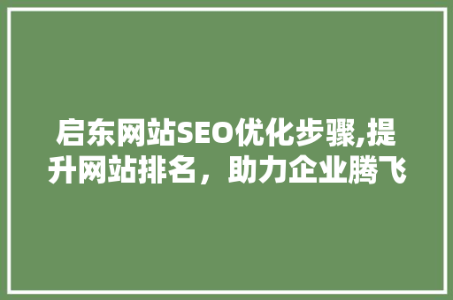 启东网站SEO优化步骤,提升网站排名，助力企业腾飞