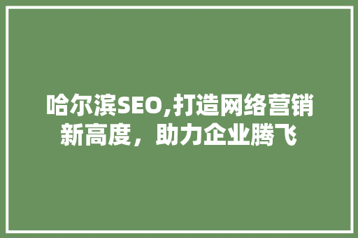 哈尔滨SEO,打造网络营销新高度，助力企业腾飞