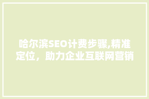 哈尔滨SEO计费步骤,精准定位，助力企业互联网营销