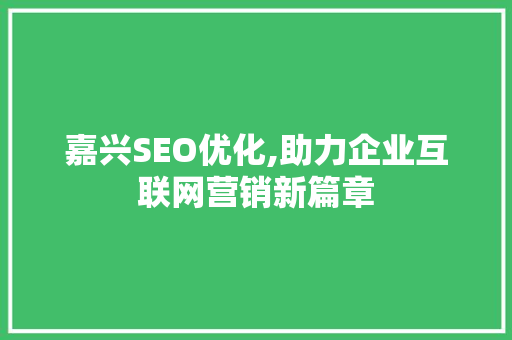 嘉兴SEO优化,助力企业互联网营销新篇章