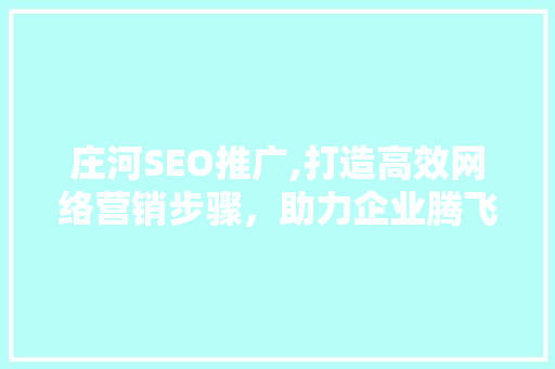 庄河SEO推广,打造高效网络营销步骤，助力企业腾飞