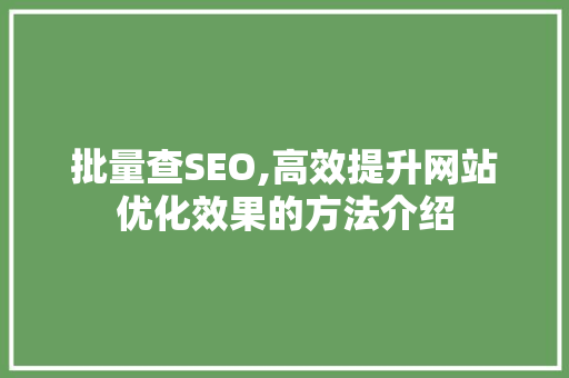 批量查SEO,高效提升网站优化效果的方法介绍