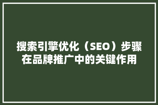 搜索引擎优化（SEO）步骤在品牌推广中的关键作用