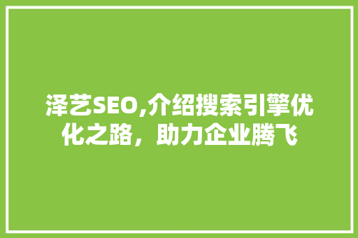泽艺SEO,介绍搜索引擎优化之路，助力企业腾飞