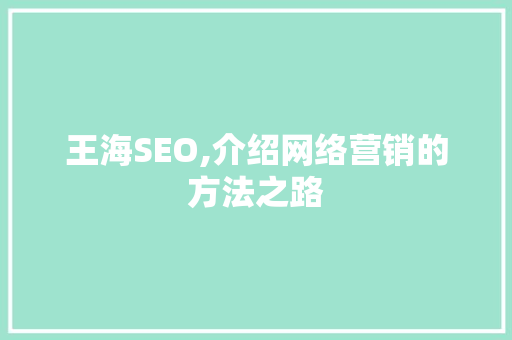 王海SEO,介绍网络营销的方法之路