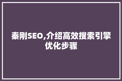 秦刚SEO,介绍高效搜索引擎优化步骤