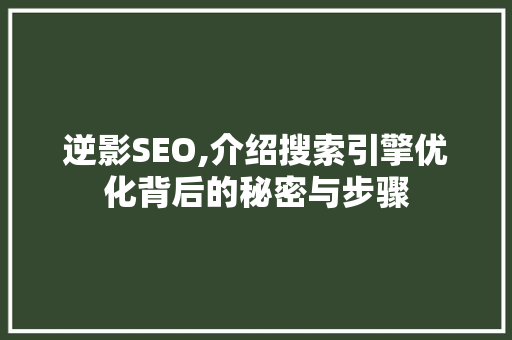 逆影SEO,介绍搜索引擎优化背后的秘密与步骤