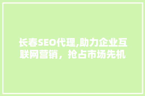 长春SEO代理,助力企业互联网营销，抢占市场先机