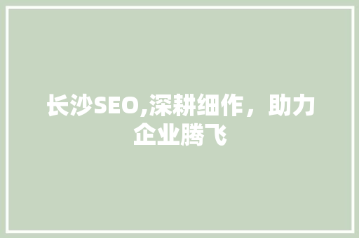 长沙SEO,深耕细作，助力企业腾飞